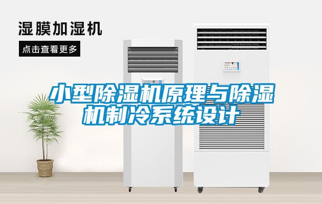 小型除濕機原理與除濕機制冷系統(tǒng)設(shè)計