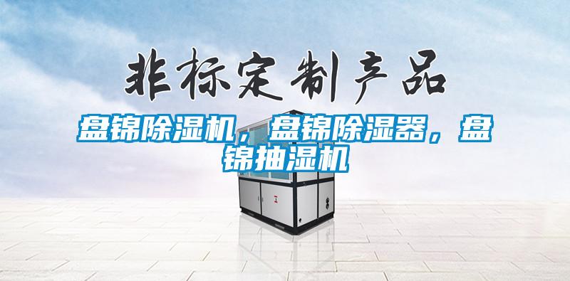盤錦除濕機(jī)，盤錦除濕器，盤錦抽濕機(jī)