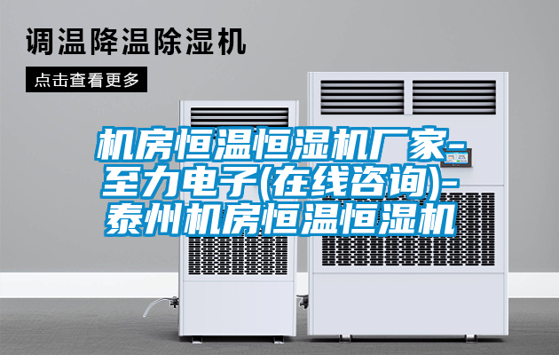機(jī)房恒溫恒濕機(jī)廠家-至力電子(在線咨詢)-泰州機(jī)房恒溫恒濕機(jī)
