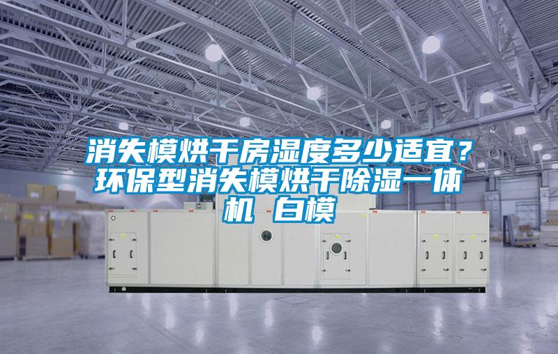 消失模烘干房濕度多少適宜？環(huán)保型消失模烘干除濕一體機 白模