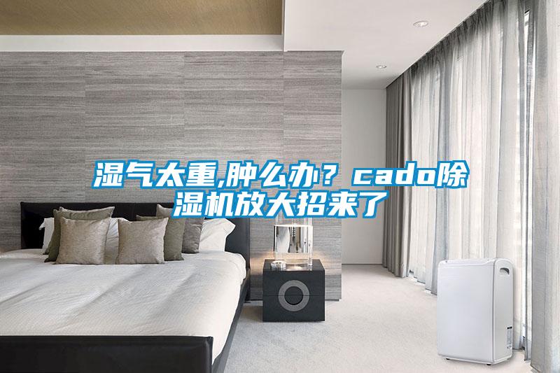 濕氣太重,腫么辦？cado除濕機放大招來了