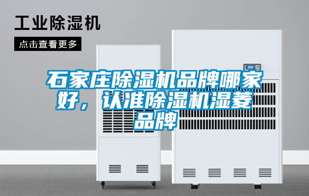 石家莊除濕機(jī)品牌哪家好，認(rèn)準(zhǔn)除濕機(jī)濕菱品牌