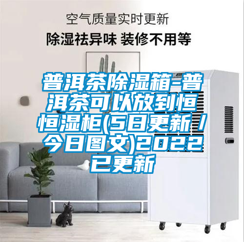普洱茶除濕箱-普洱茶可以放到恒恒濕柜(5日更新／今日?qǐng)D文)2022已更新