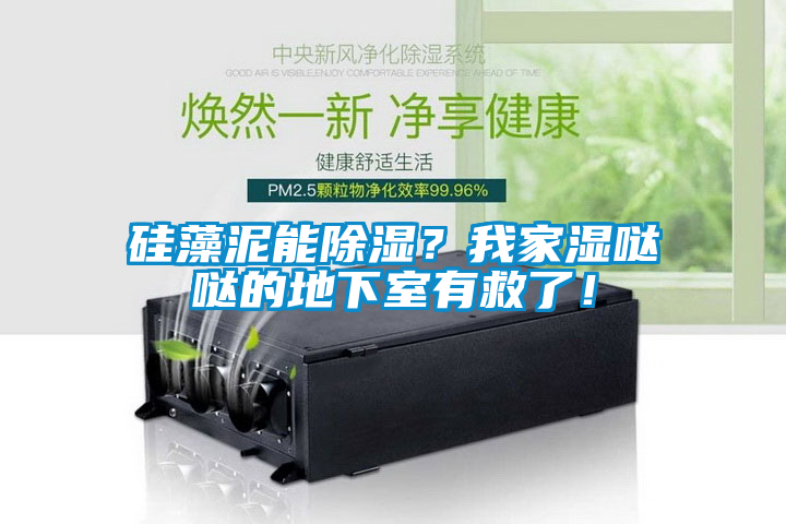 硅藻泥能除濕？我家濕噠噠的地下室有救了！