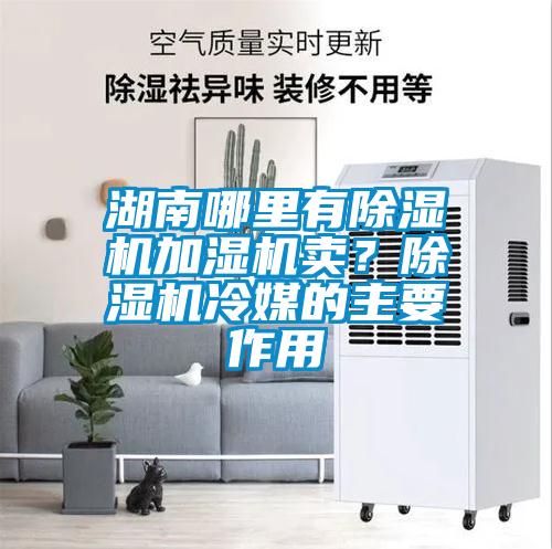 湖南哪里有除濕機(jī)加濕機(jī)賣？除濕機(jī)冷媒的主要作用