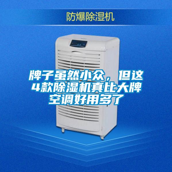 牌子雖然小眾，但這4款除濕機真比大牌空調(diào)好用多了