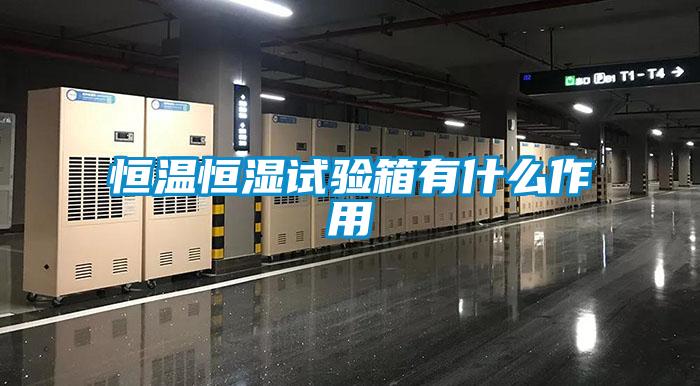 恒溫恒濕試驗(yàn)箱有什么作用