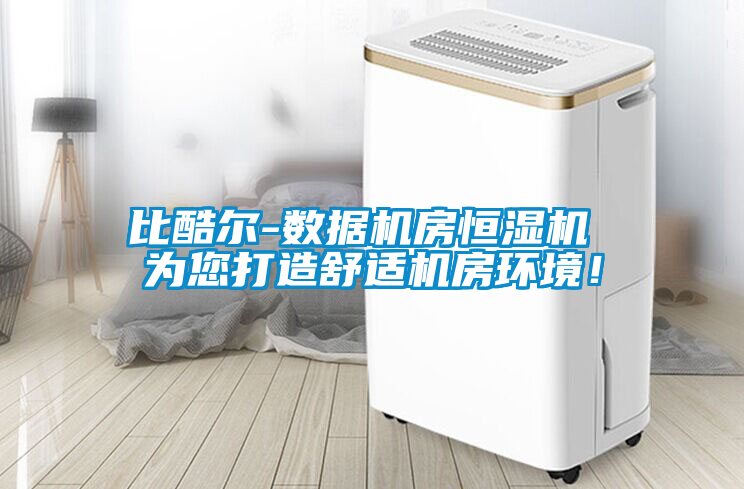 比酷爾-數(shù)據(jù)機房恒濕機 為您打造舒適機房環(huán)境！