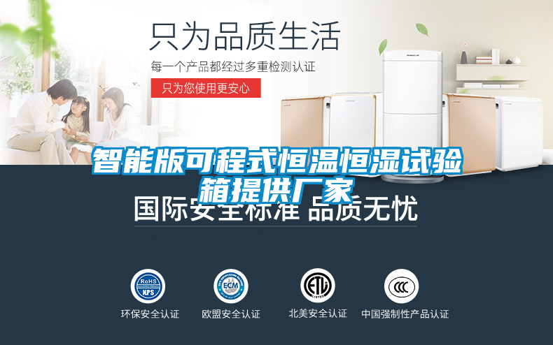 智能版可程式恒溫恒濕試驗(yàn)箱提供廠家
