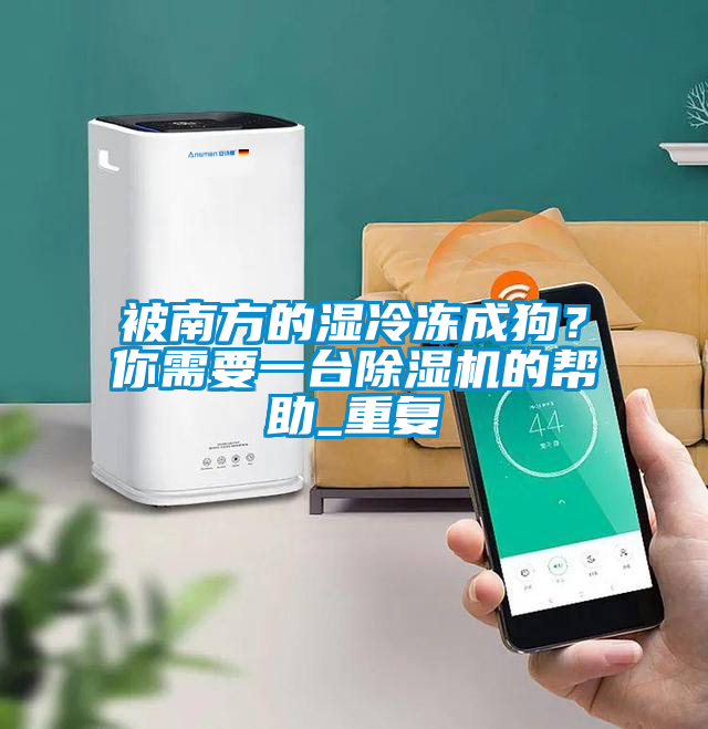 被南方的濕冷凍成狗？你需要一臺除濕機的幫助_重復(fù)