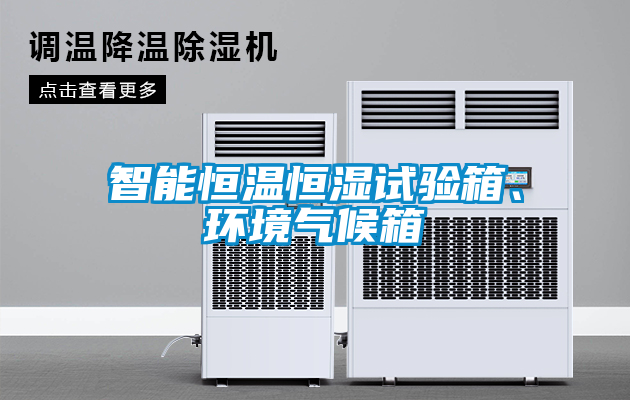 智能恒溫恒濕試驗(yàn)箱、環(huán)境氣候箱