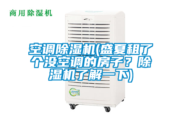 空調(diào)除濕機(jī)(盛夏租了個(gè)沒(méi)空調(diào)的房子？除濕機(jī)了解一下)