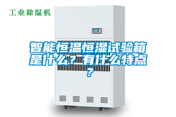智能恒溫恒濕試驗(yàn)箱是什么？有什么特點(diǎn)？