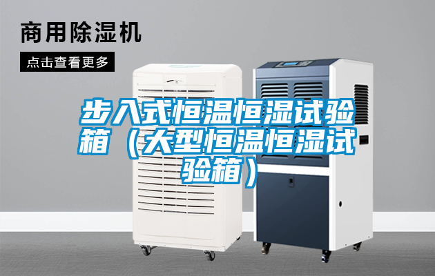 步入式恒溫恒濕試驗(yàn)箱（大型恒溫恒濕試驗(yàn)箱）