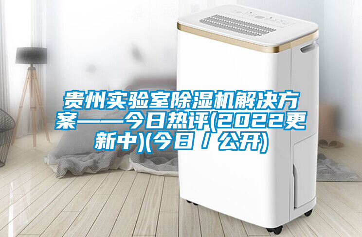 貴州實(shí)驗(yàn)室除濕機(jī)解決方案——今日熱評(píng)(2022更新中)(今日／公開)