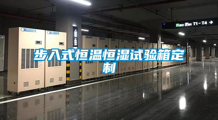 步入式恒溫恒濕試驗(yàn)箱定制