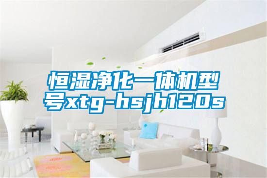 恒濕凈化一體機(jī)型號xtg-hsjh120s
