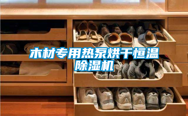 木材專用熱泵烘干恒溫除濕機(jī)
