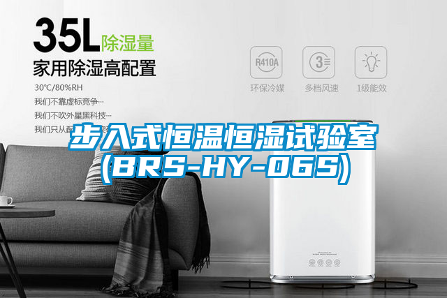 步入式恒溫恒濕試驗(yàn)室(BRS-HY-06S)