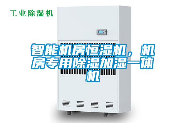 智能機(jī)房恒濕機(jī)，機(jī)房專用除濕加濕一體機(jī)