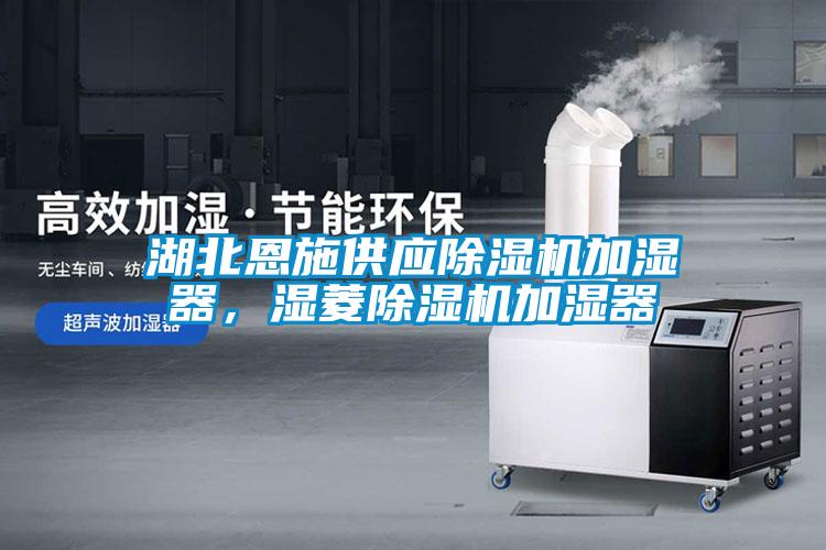 湖北恩施供應(yīng)除濕機(jī)加濕器，濕菱除濕機(jī)加濕器