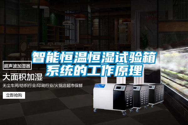智能恒溫恒濕試驗(yàn)箱系統(tǒng)的工作原理