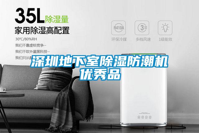 深圳地下室除濕防潮機優(yōu)秀品