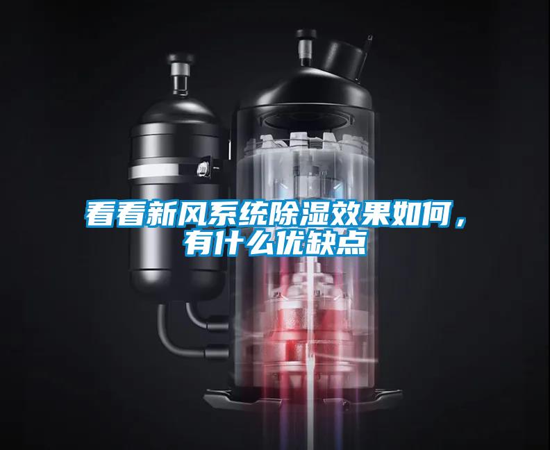 看看新風系統(tǒng)除濕效果如何，有什么優(yōu)缺點