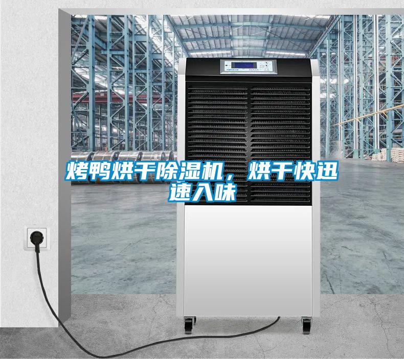 烤鴨烘干除濕機(jī)，烘干快迅速入味