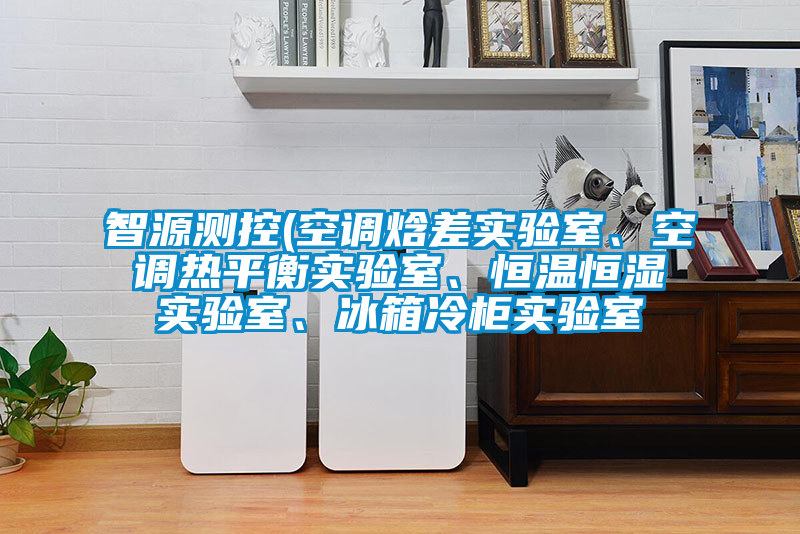 智源測控(空調(diào)焓差實驗室、空調(diào)熱平衡實驗室、恒溫恒濕實驗室、冰箱冷柜實驗室