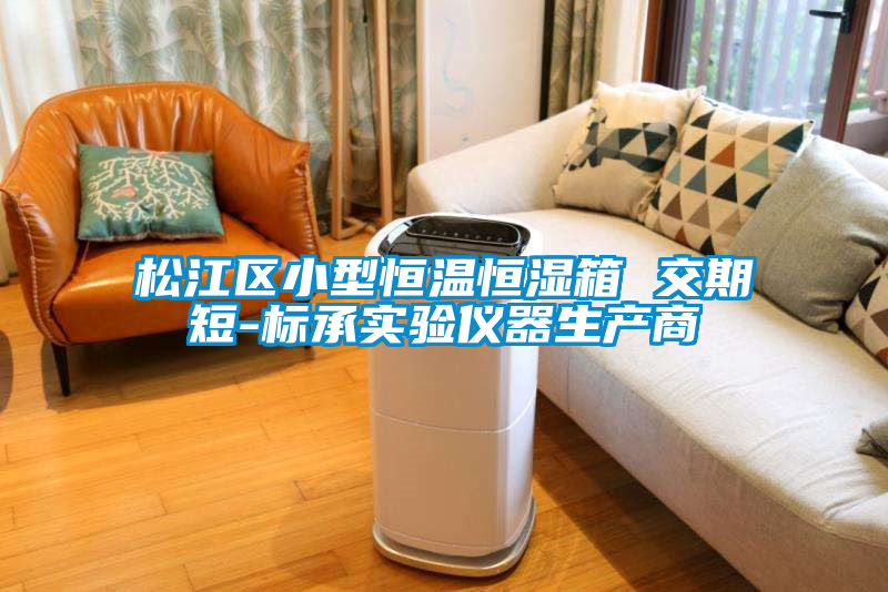 松江區(qū)小型恒溫恒濕箱 交期短-標(biāo)承實(shí)驗(yàn)儀器生產(chǎn)商