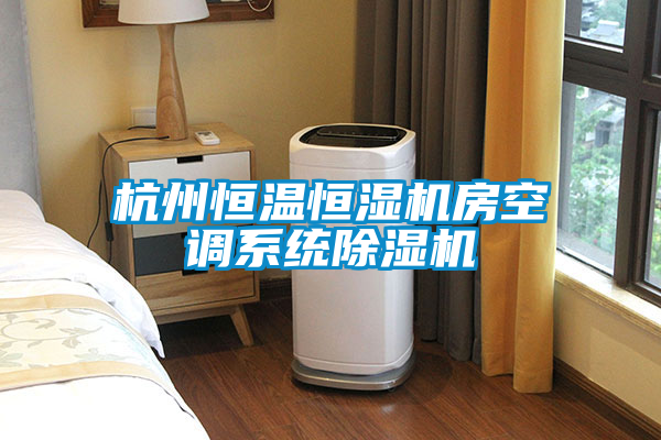 杭州恒溫恒濕機房空調系統除濕機