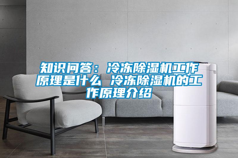 知識(shí)問(wèn)答：冷凍除濕機(jī)工作原理是什么 冷凍除濕機(jī)的工作原理介紹