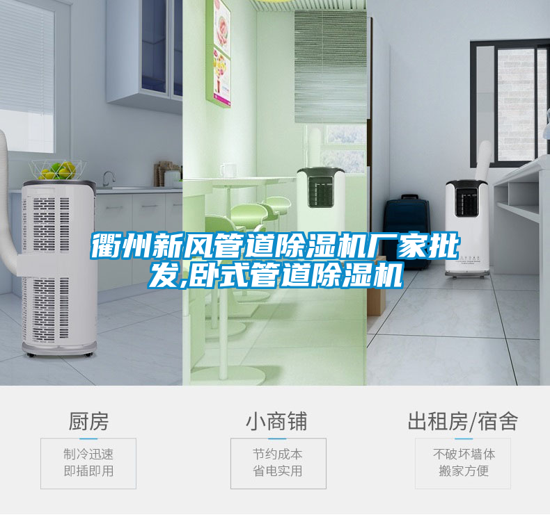 衢州新風(fēng)管道除濕機廠家批發(fā),臥式管道除濕機