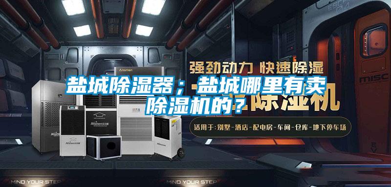 鹽城除濕器；鹽城哪里有賣除濕機(jī)的？