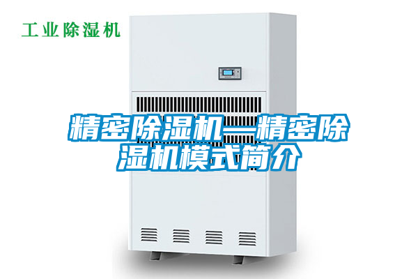 精密除濕機(jī)—精密除濕機(jī)模式簡(jiǎn)介