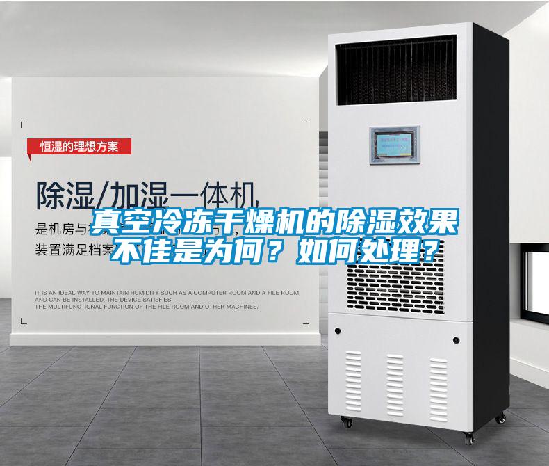 真空冷凍干燥機的除濕效果不佳是為何？如何處理？
