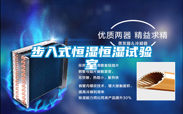 步入式恒濕恒濕試驗(yàn)室