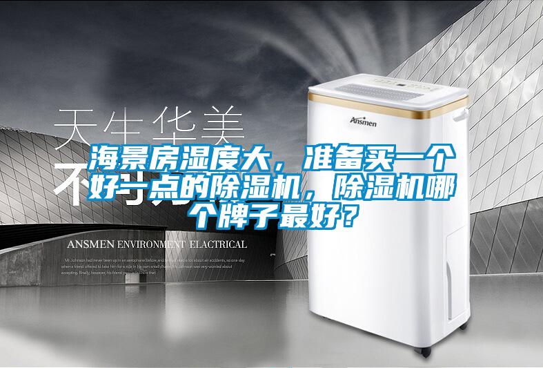 海景房濕度大，準(zhǔn)備買一個(gè)好一點(diǎn)的除濕機(jī)，除濕機(jī)哪個(gè)牌子最好？