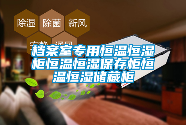 檔案室專用恒溫恒濕柜恒溫恒濕保存柜恒溫恒濕儲藏柜