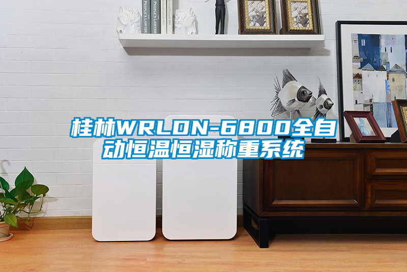 桂林WRLDN-6800全自動(dòng)恒溫恒濕稱(chēng)重系統(tǒng)