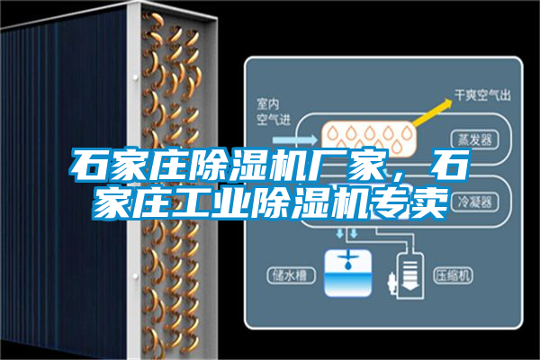 石家莊除濕機(jī)廠家，石家莊工業(yè)除濕機(jī)專(zhuān)賣(mài)