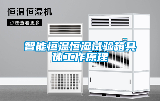 智能恒溫恒濕試驗(yàn)箱具體工作原理