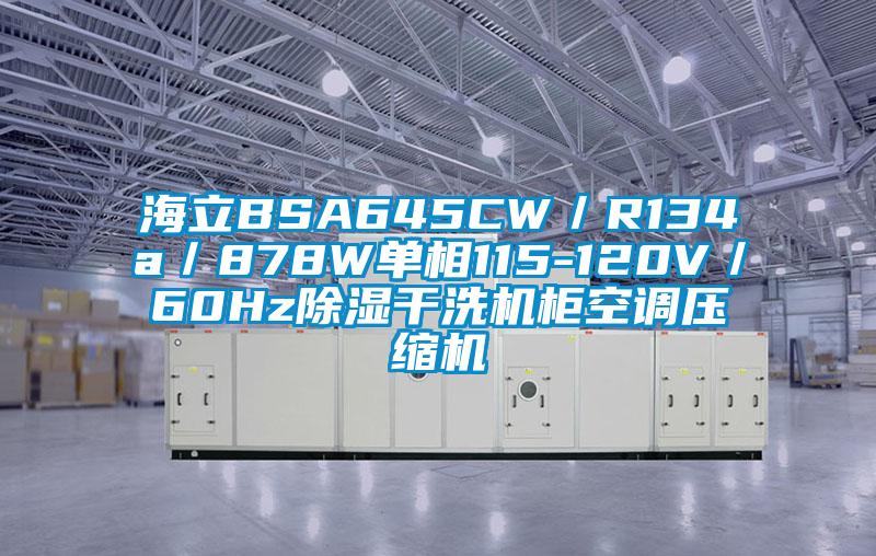 海立BSA645CW／R134a／878W單相115-120V／60Hz除濕干洗機(jī)柜空調(diào)壓縮機(jī)