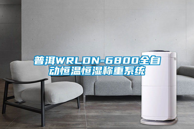 普洱WRLDN-6800全自動(dòng)恒溫恒濕稱重系統(tǒng)