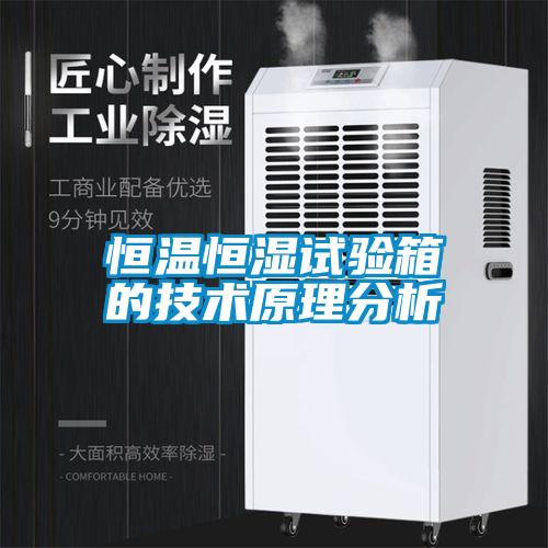 恒溫恒濕試驗箱的技術(shù)原理分析