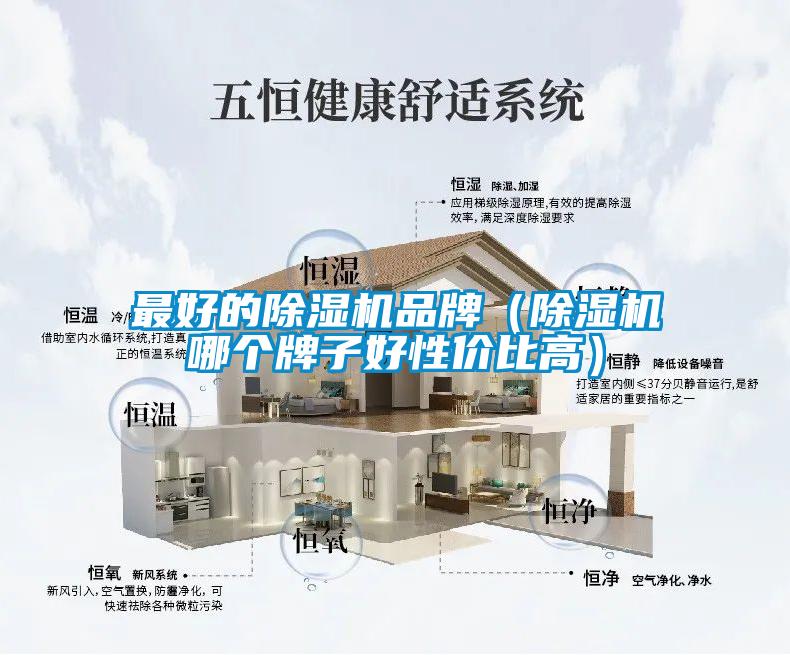 最好的除濕機(jī)品牌（除濕機(jī)哪個牌子好性價比高）