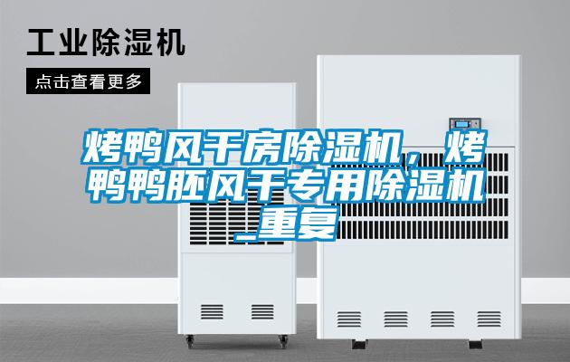 烤鴨風(fēng)干房除濕機(jī)，烤鴨鴨胚風(fēng)干專用除濕機(jī)_重復(fù)