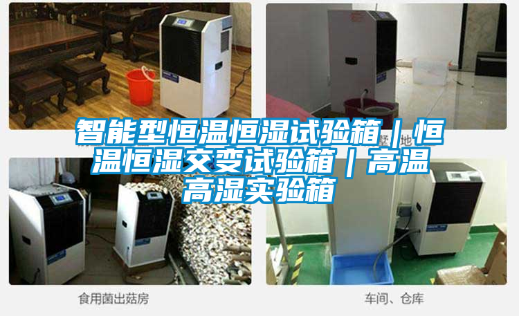 智能型恒溫恒濕試驗箱｜恒溫恒濕交變試驗箱｜高溫高濕實驗箱