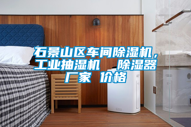 石景山區(qū)車(chē)間除濕機(jī)，工業(yè)抽濕機(jī)  除濕器廠家 價(jià)格